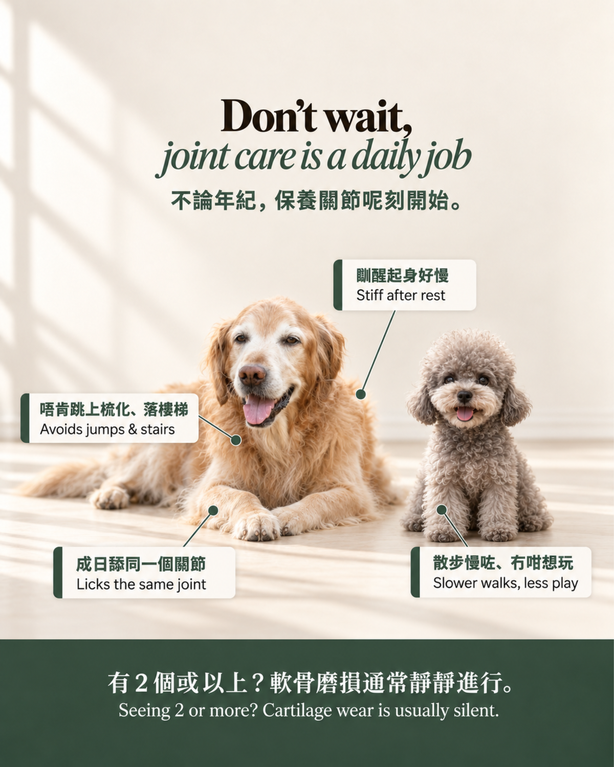 TreatTime® Joint & Mobility Soft Chew 關節配方軟嚼零食