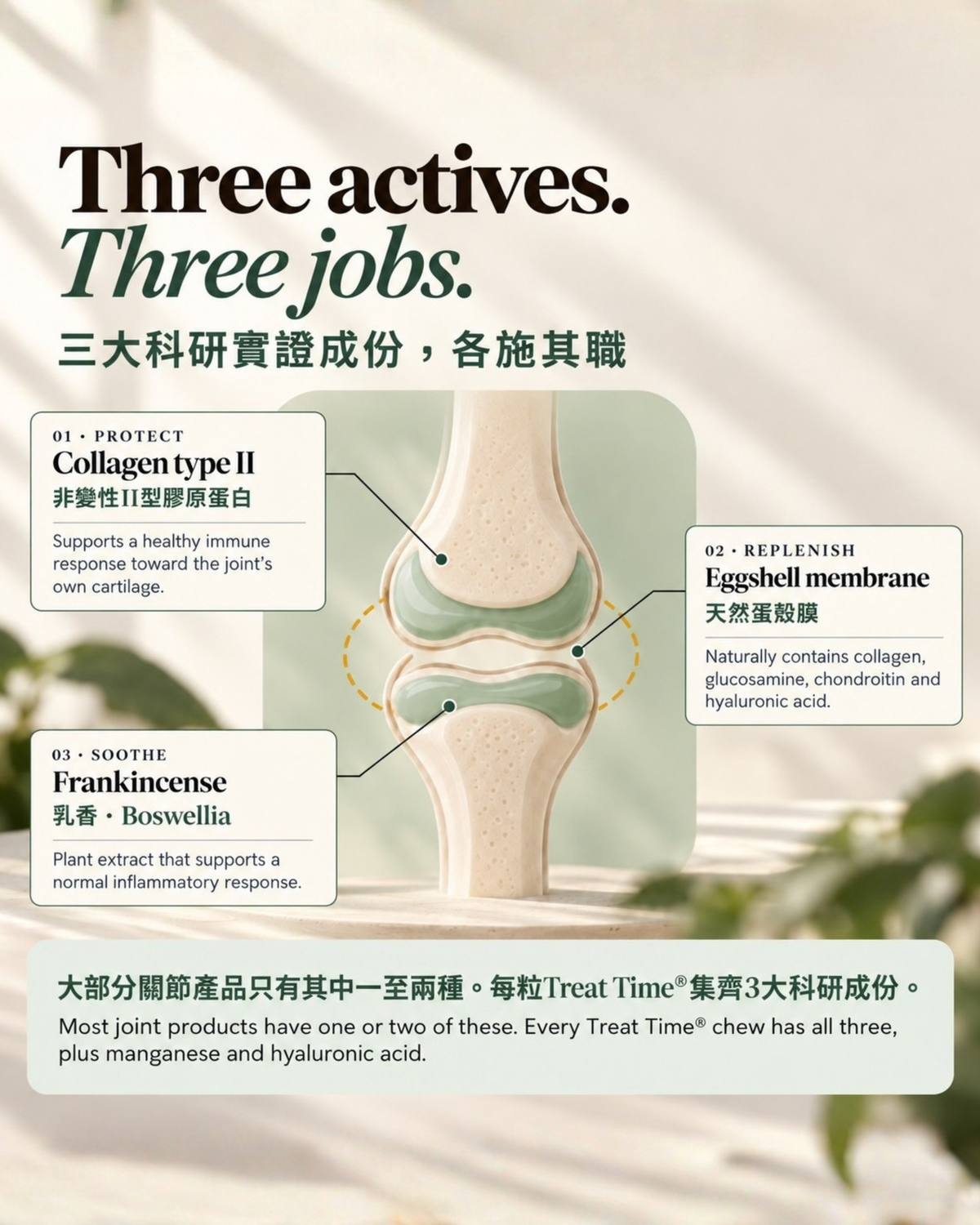 TreatTime® Joint & Mobility Soft Chew 關節配方軟嚼零食